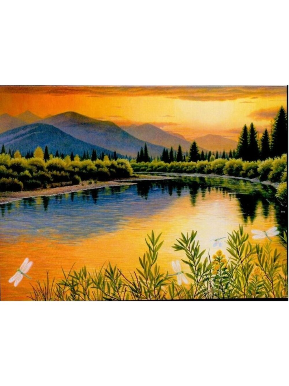 6-Pack VTG Leanin’ Tree Birthday Cards +✉ Evening in the Bob Marshall Wilderness